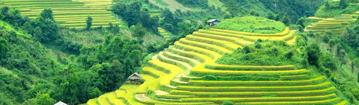  SAPA TOURS 