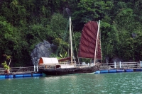 Discovery Of Northern Vietnam 8 Days