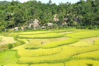 Discovery of North-East Vietnam 11 Days