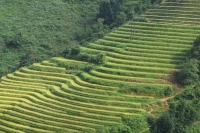 Sapa Village Trekking 3 Days