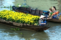 South Vietnam Impression 6 Days
