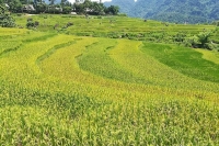 Adventure Mai Chau - Puluong 5 Days