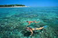Cham Island Snorkeling Tour - Speedboat - Wonderful Beach