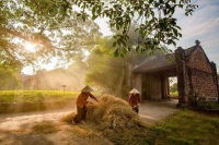 Duong Lam Ancient Village Day Tour: Tracing back to the origin